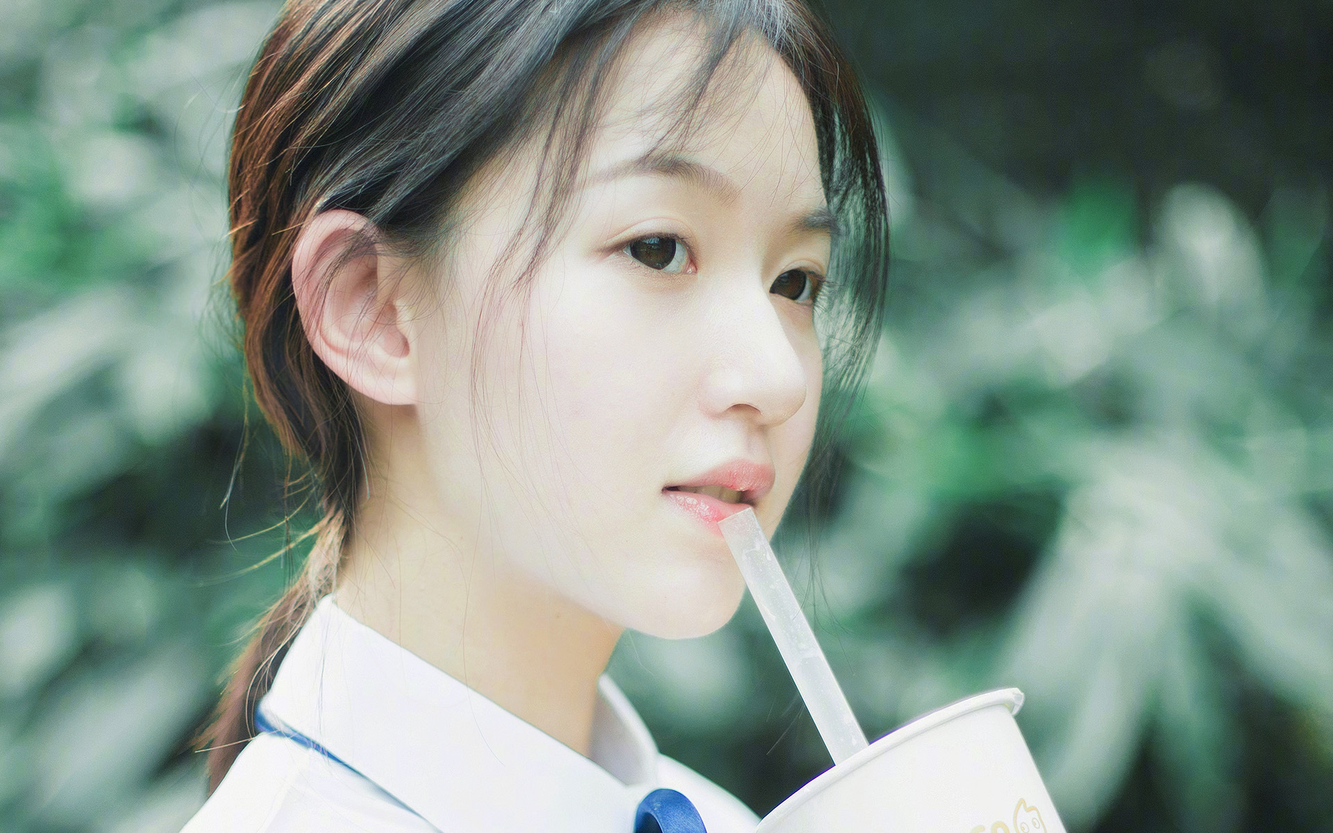 亚洲羽坛的双重奏，韩国队战术合围与陈雨菲的王者独舞