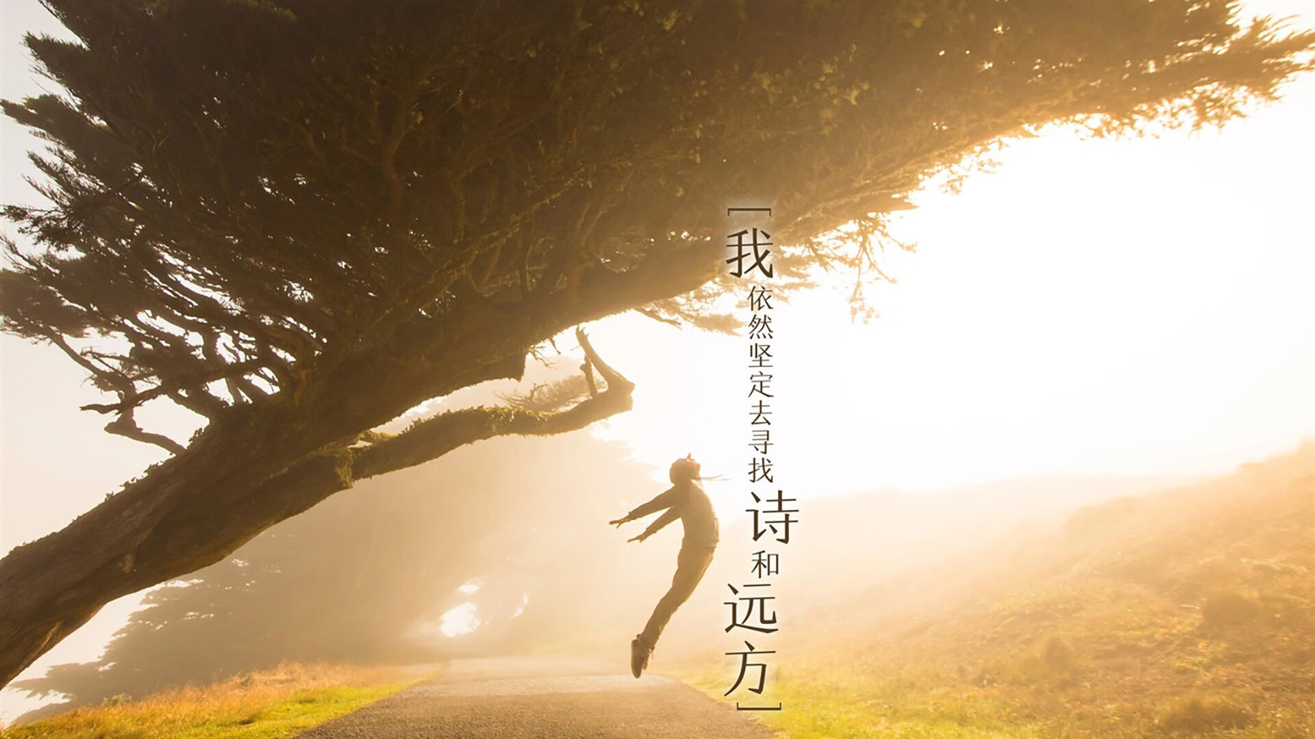 铁闸与利刃,门迪一夫当关,切尔西展现冠军级的正面碾压