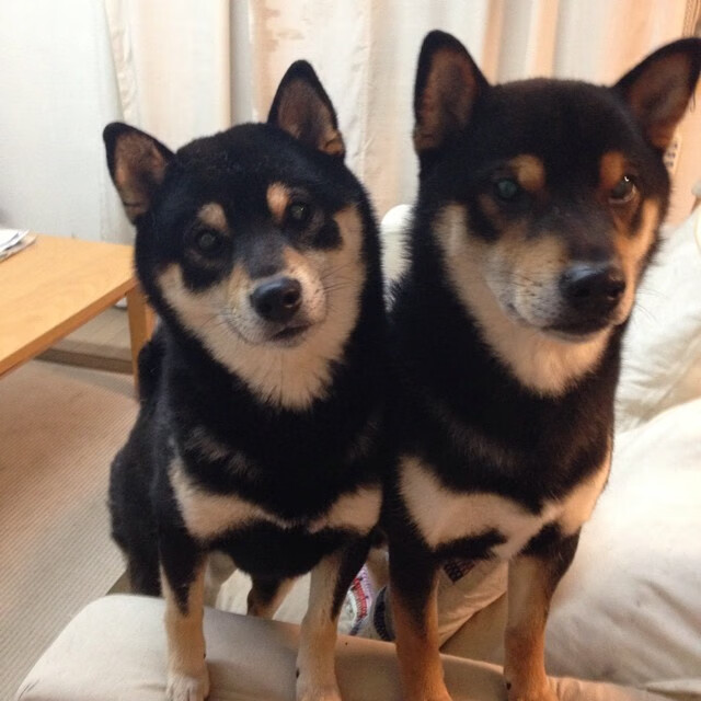 冰封鹈鹕,火耀联盟,魔术团队魔法锁胜,文班亚马破纪录之夜