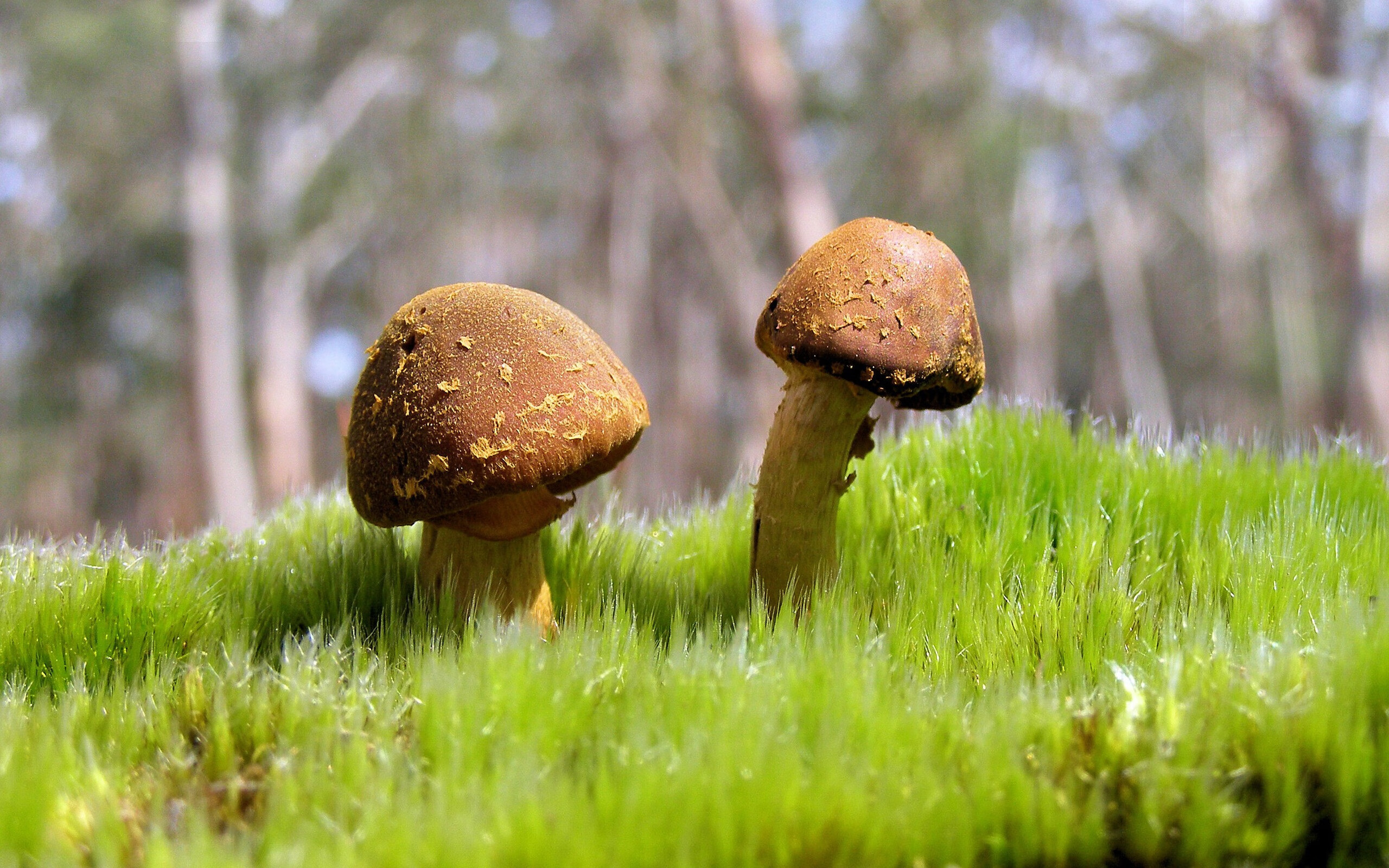 从王子公园到世界之巅,伊萨克与节奏掌控的艺术