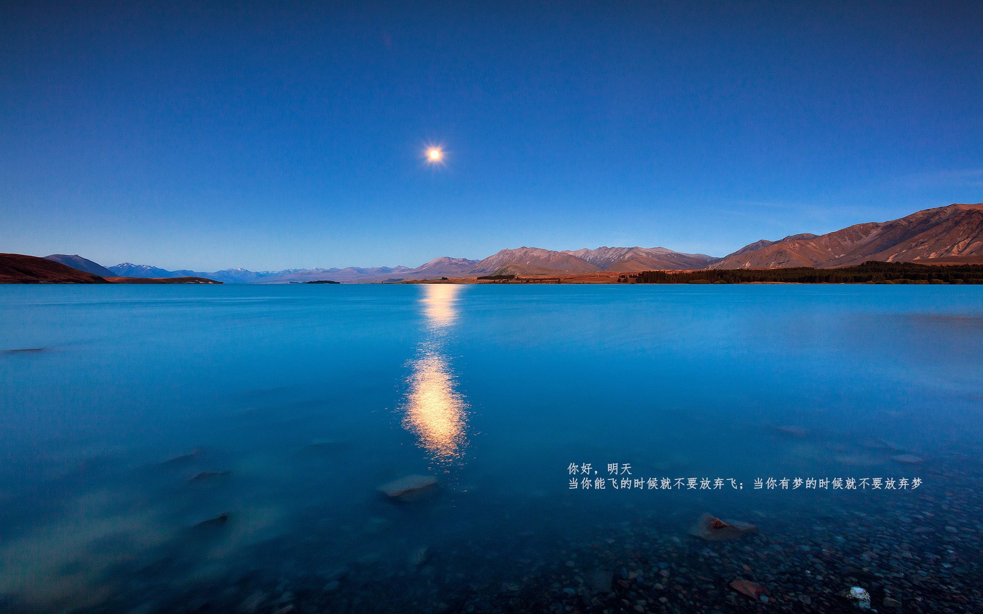 寂静战场上的轰鸣,卡瓦哈尔用铁闸之力主宰新西兰与秘鲁的胜负天平