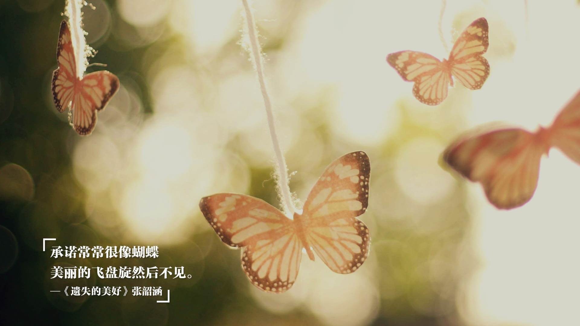 火山岩上的足球诗篇，佩德里一记惊雷，冰岛险胜打破郁金香神话