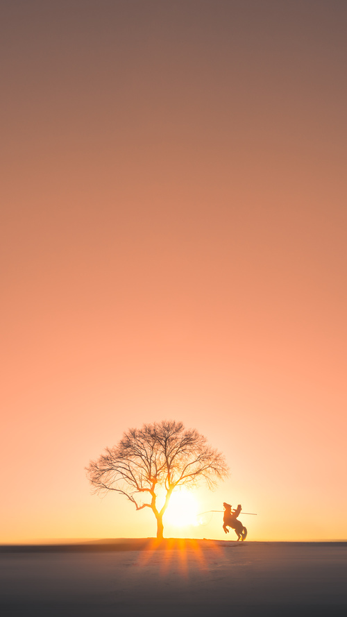 草根逆袭的智慧，黄蜂如何用非典型战术撕碎掘金王朝蓝图？