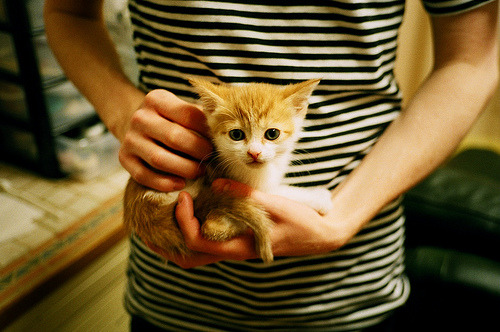 跨越太平洋的篮球叙事，当开拓者决胜吉林，伦纳德在世界杯点燃星火