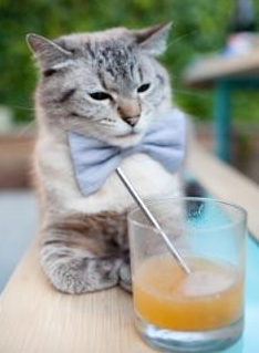 冰火两重天,滚烫的指尖何以托不起坠落的战局?