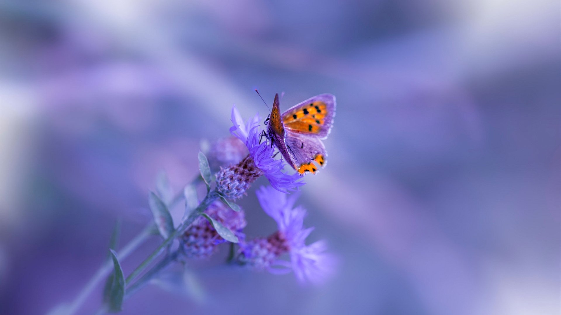 千年古都的气魄，山西队如何用一场胜利，为保罗写下新的传奇