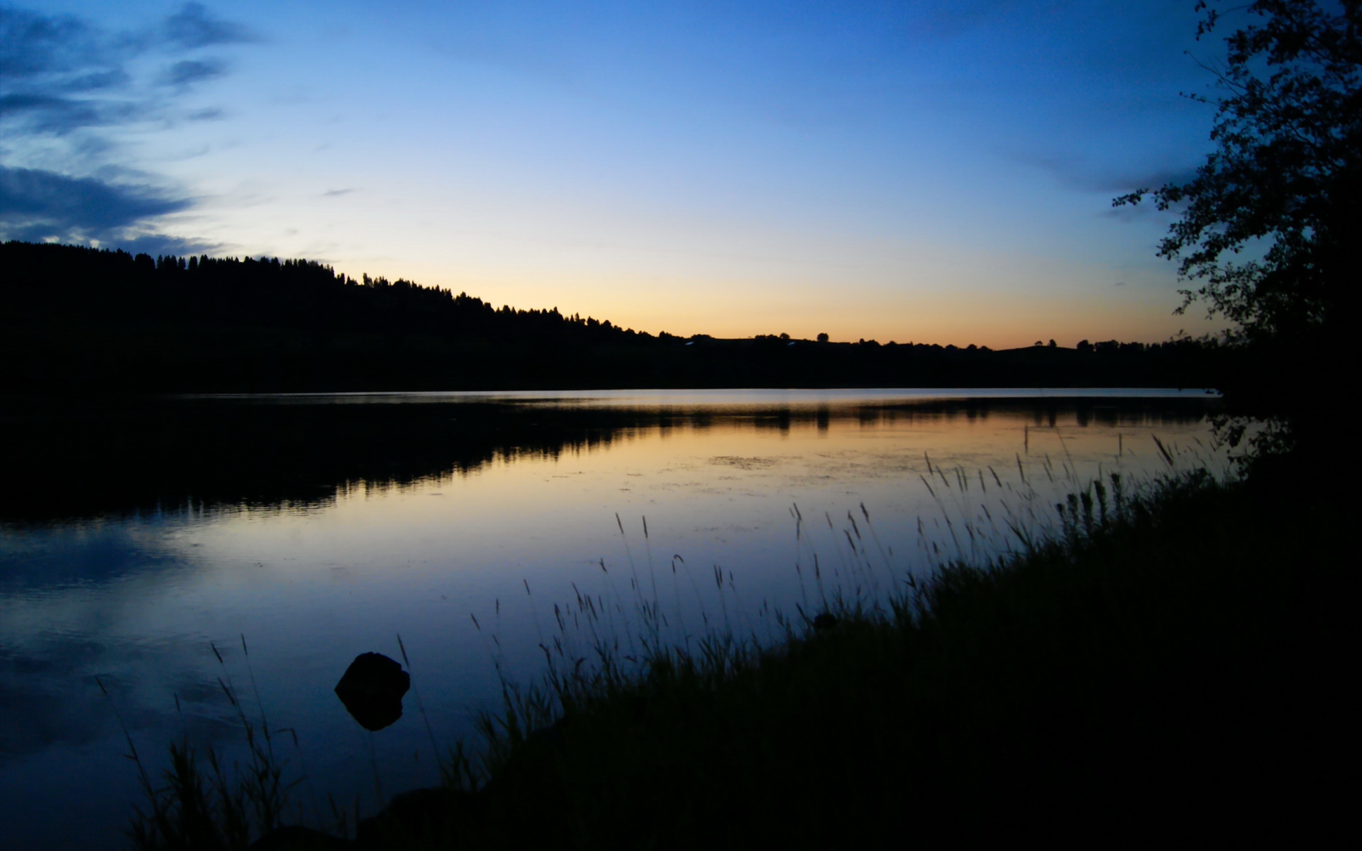 资本寒流与热血救赎，当拉齐奥的欧冠之夜被美国收割与迪亚斯的闪光点燃