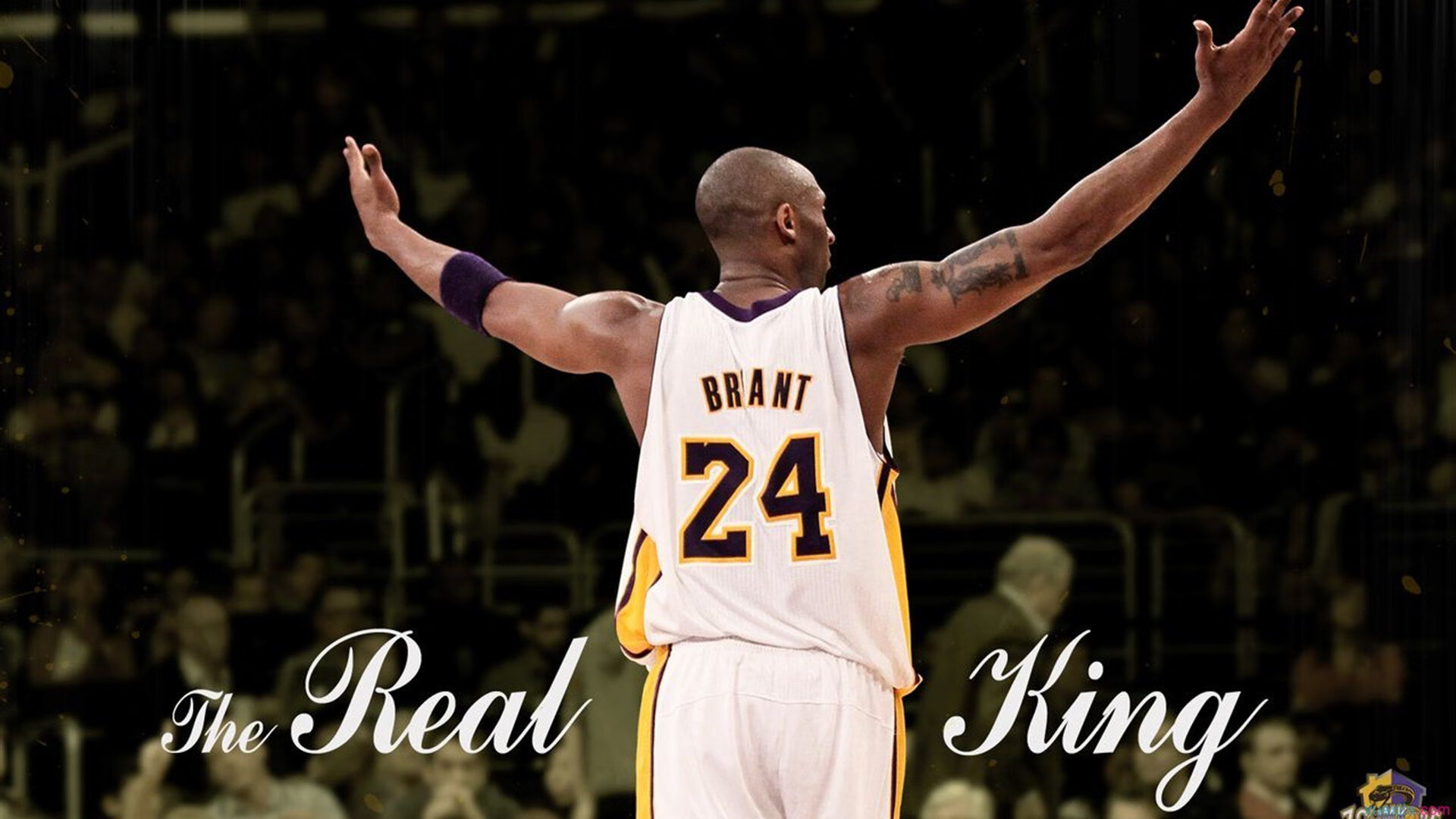 赛道轰鸣,鹰击长空,当篮球飞驰于巴林弯道