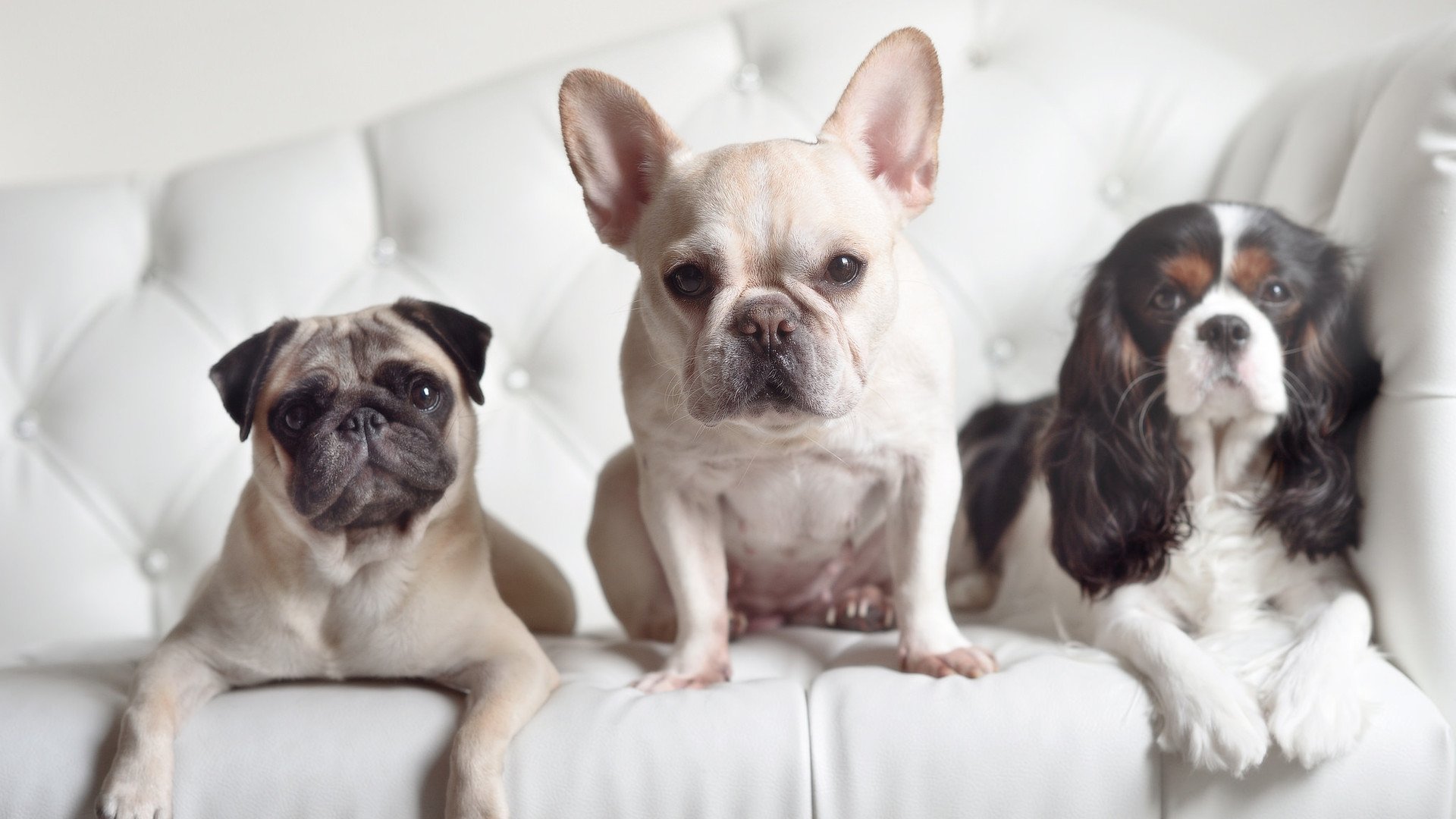 当东决变奏为非洲鼓点，里昂如何用南非法则撕碎铁桶阵