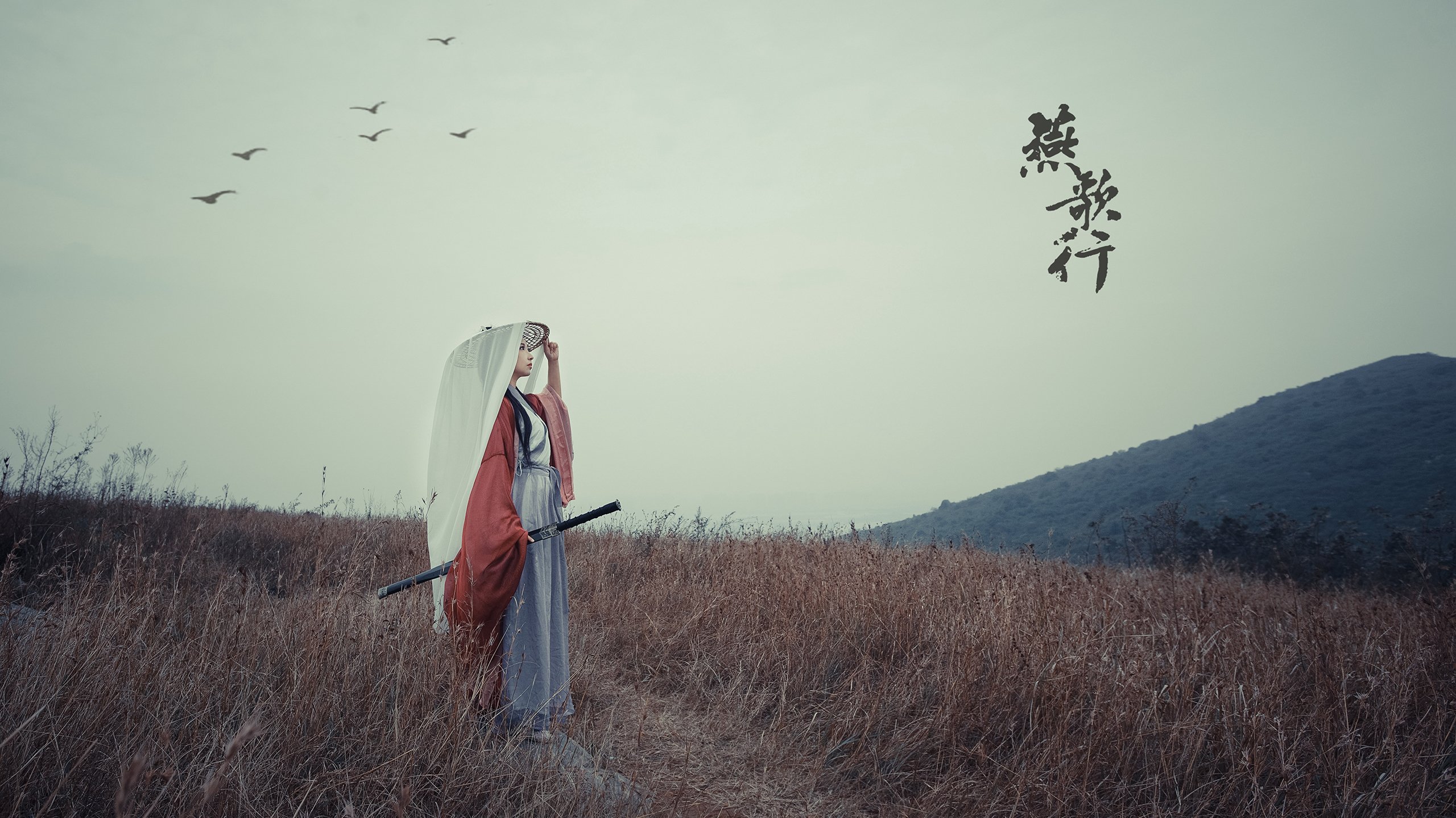 银河战舰冲垮北欧堡垒，当基耶萨让完全无解成为唯一注解