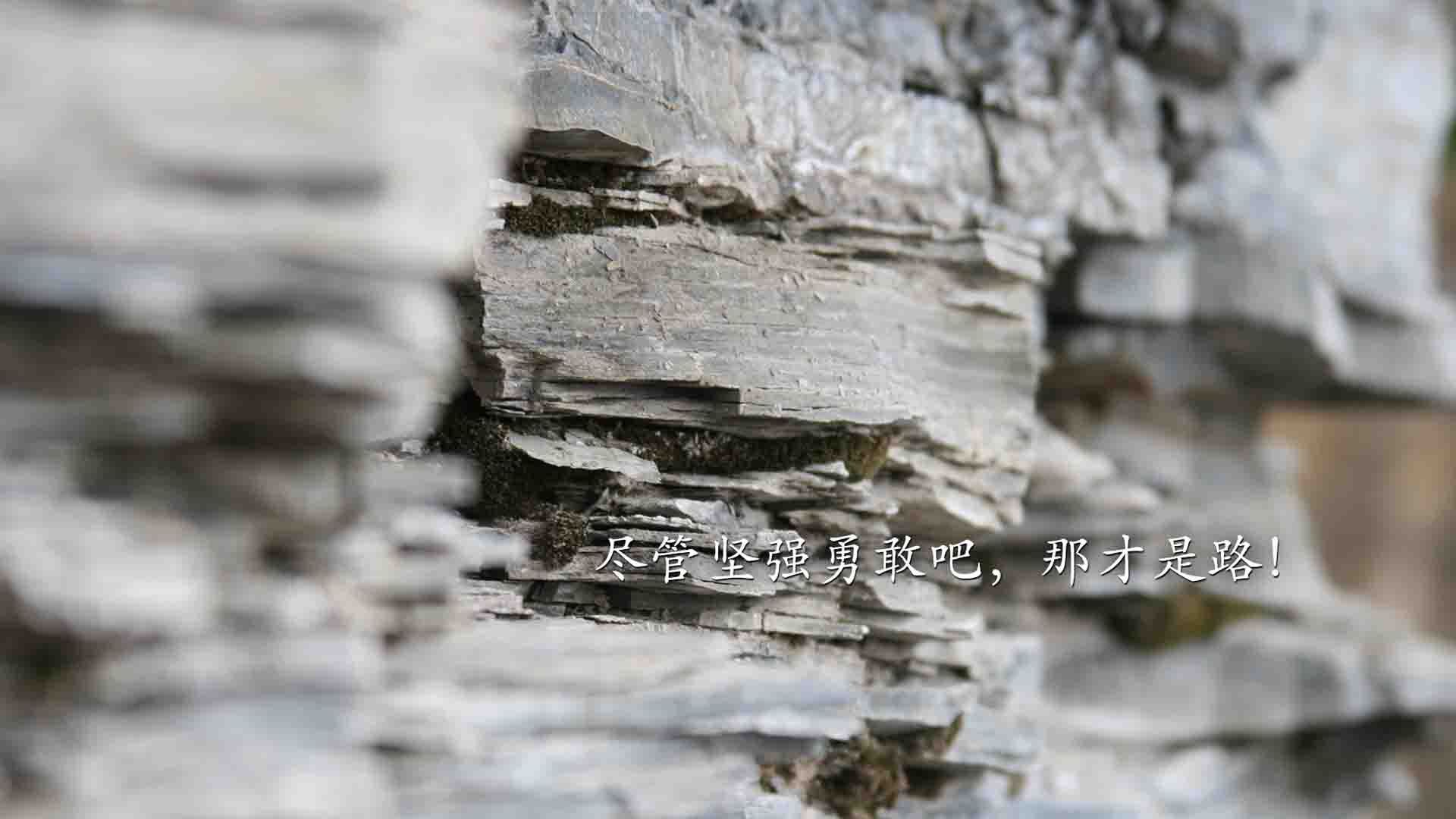 时空裂隙中的荣耀,深圳队跨越次元力克火箭,库里末节神迹逆转未果