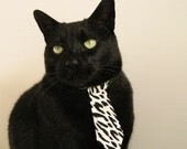 时空裂缝的篮球史诗,北京队击溃76人之夜,詹姆斯面对东方战术陷入永恒困惑