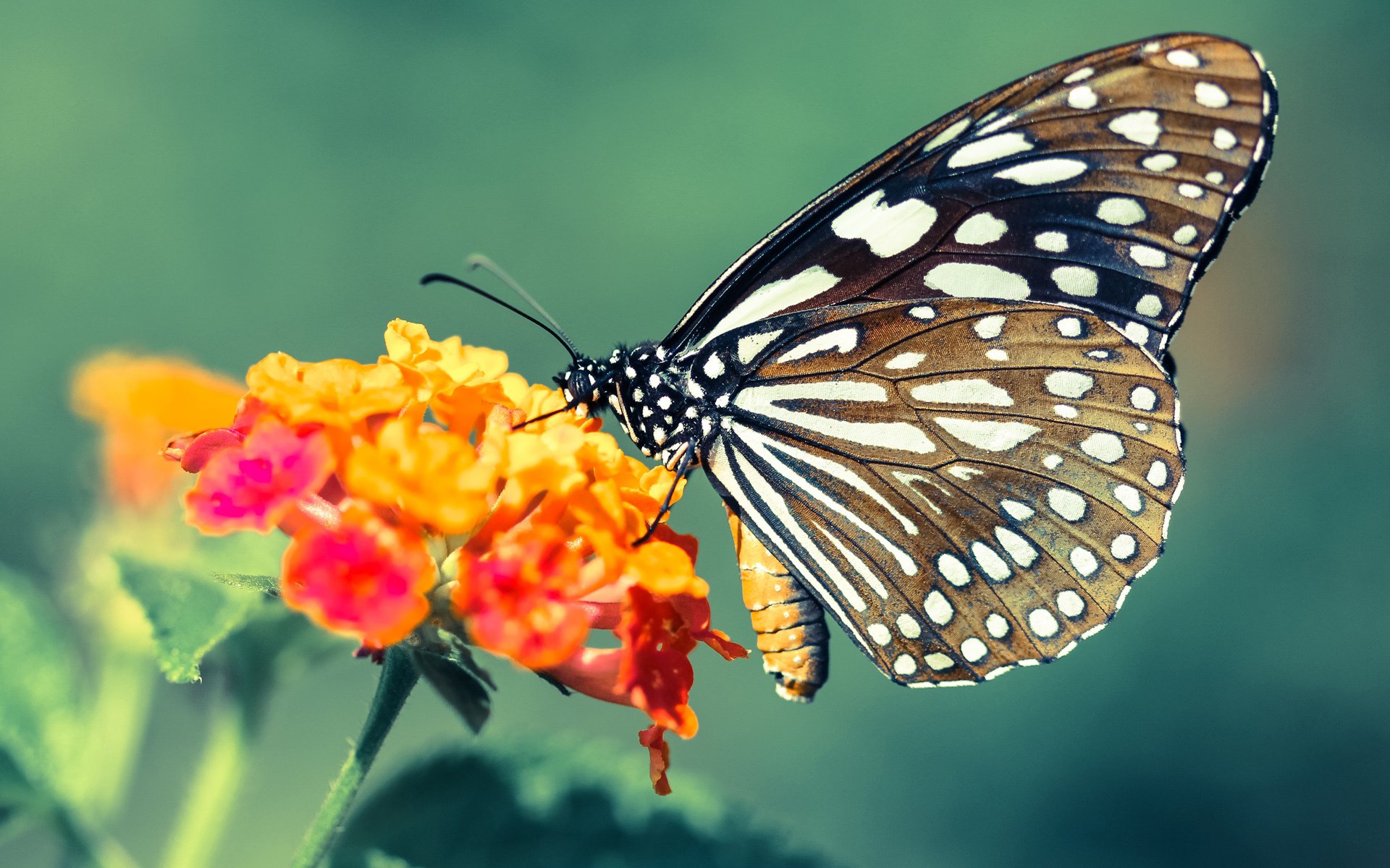 异域同频,当山西的防守反击遇见F1赛道的终极超车—论体育世界不可复制的神之一手