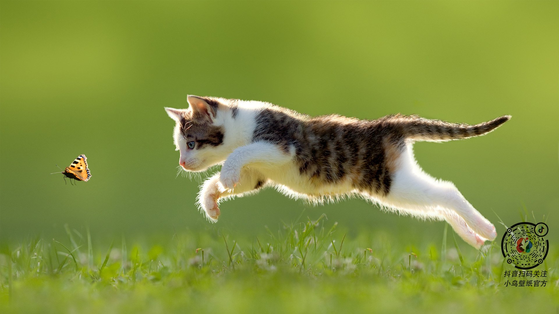 历史性复仇？那记被写入命运的任意球，如何扭转2026年世界杯的命运