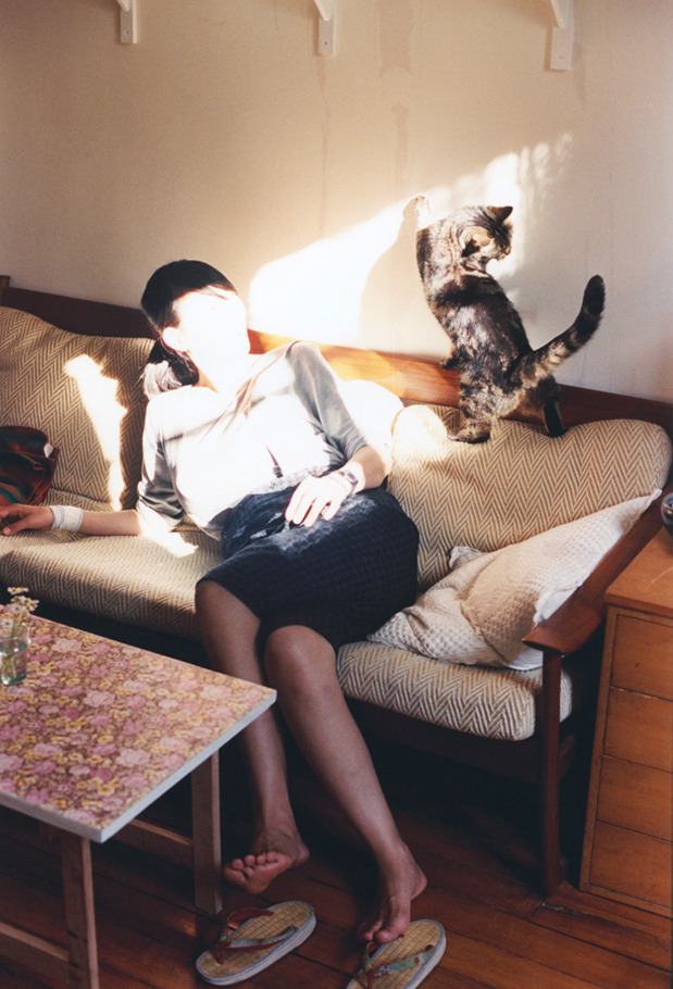 当东方巨龙凝视好莱坞,上海大鲨鱼破壁之夜与西亚卡姆的世纪接管