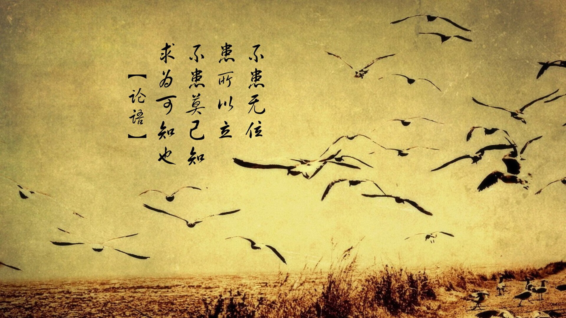 绿茵场上的独舞,2026世界杯B组,喀麦隆完胜伊朗,福登控场诠释唯一性